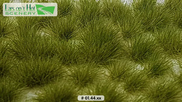 Hovedbilde Lars op 't Hof - Grass tufts late summer - long