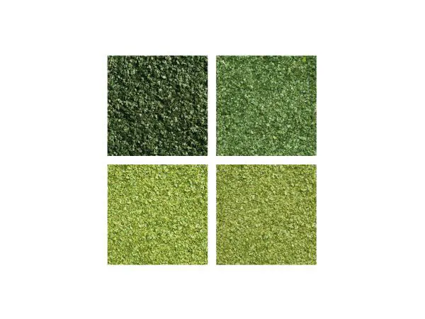 Hovedbilde Noch - Blader til løvtrær og busker