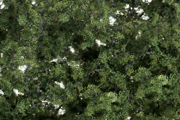 Hovedbilde Woodland - Fine Leaf Foliage, medium green
