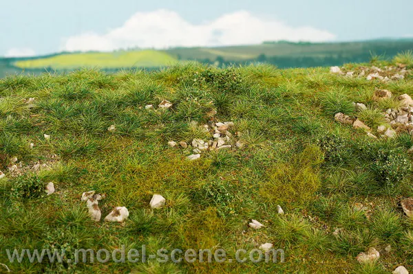 Hovedbilde Model Scene - Gressmatte, Early Summer, stony