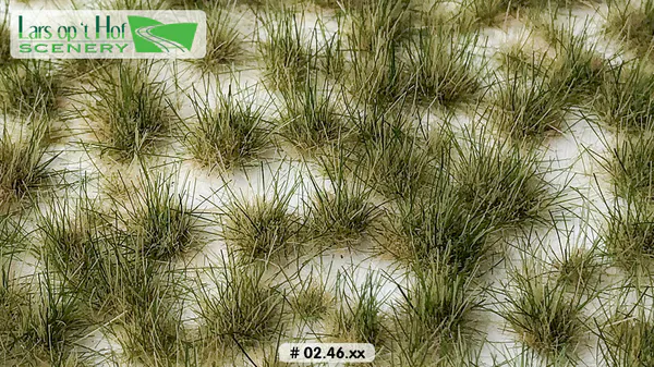 Hovedbilde Lars op 't Hof - Grass tufts summer, two tone