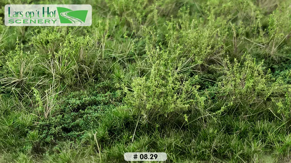 Hovedbilde Lars op 't Hof - Wild verge with weeds summer