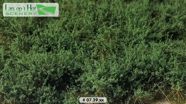 Hovedbilde Lars op 't Hof - Bushes dark green - high