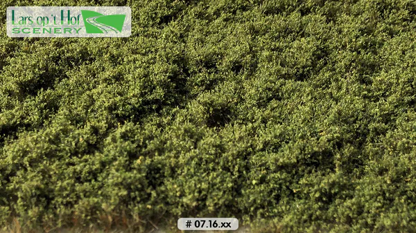 Hovedbilde Lars op 't Hof - Bushes light green - low