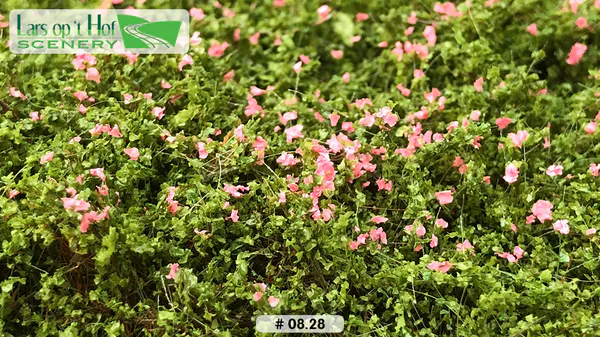 Hovedbilde Lars op 't Hof - Dog rose