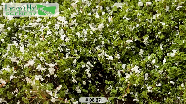 Hovedbilde Lars op 't Hof - Dog rose alba