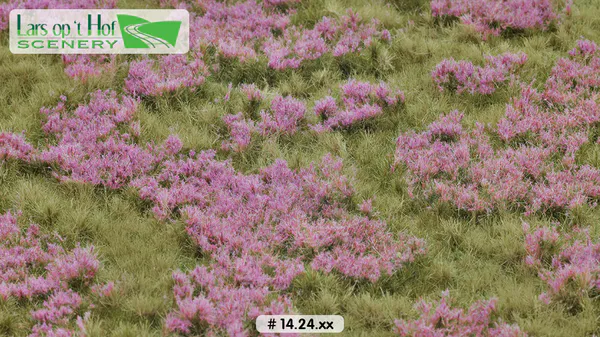 Hovedbilde Lars op 't Hof - Heather field summer, large