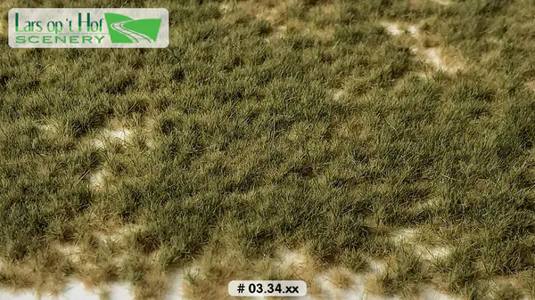 Hovedbilde Lars op 't Hof - Grass tufts pasture autumn - short