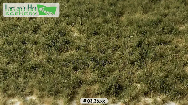 Hovedbilde Lars op 't Hof - Grass tufts pasture autumn - long