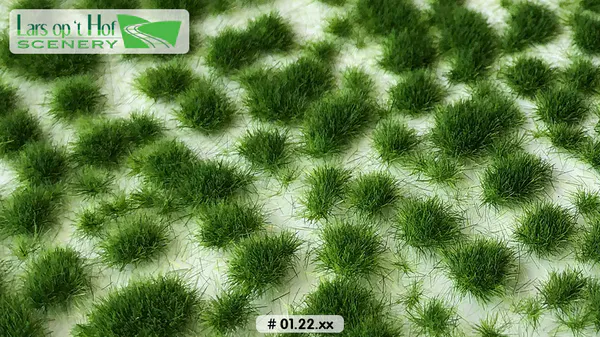 Hovedbilde Lars op 't Hof - Grass tufts late spring - short