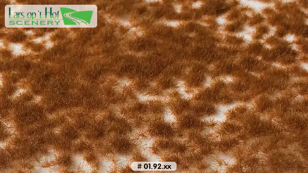 Hovedbilde Lars op 't Hof - Grass tufts late winter - short