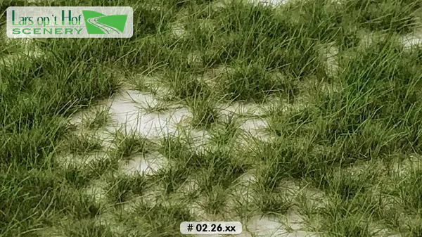 Hovedbilde Lars op 't Hof - Grass tufts spring, two tone