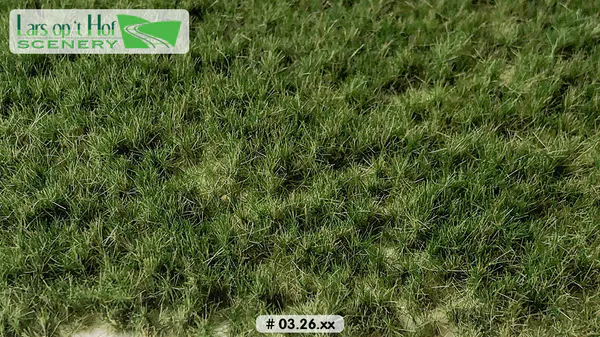 Hovedbilde Lars op 't Hof - Grass tufts pasture summer - long