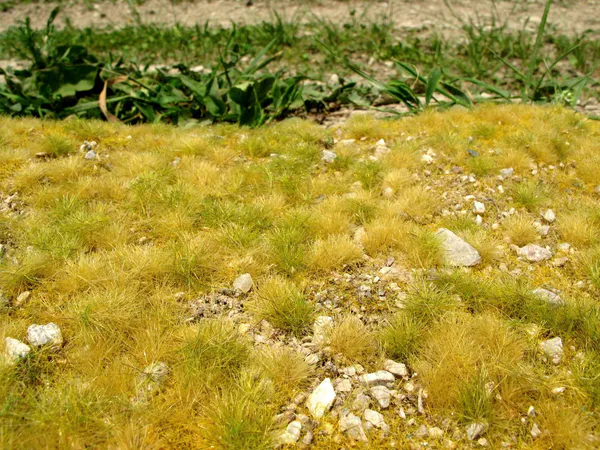 Hovedbilde Model Scene - Gressmatte, Late Summer, small stones