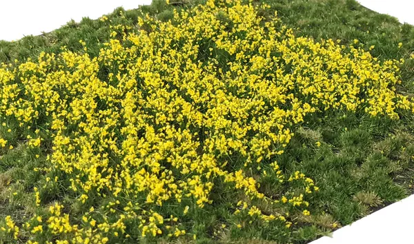 Hovedbilde Martin Welberg - Gresstuster, Layered Flowers Yellow
