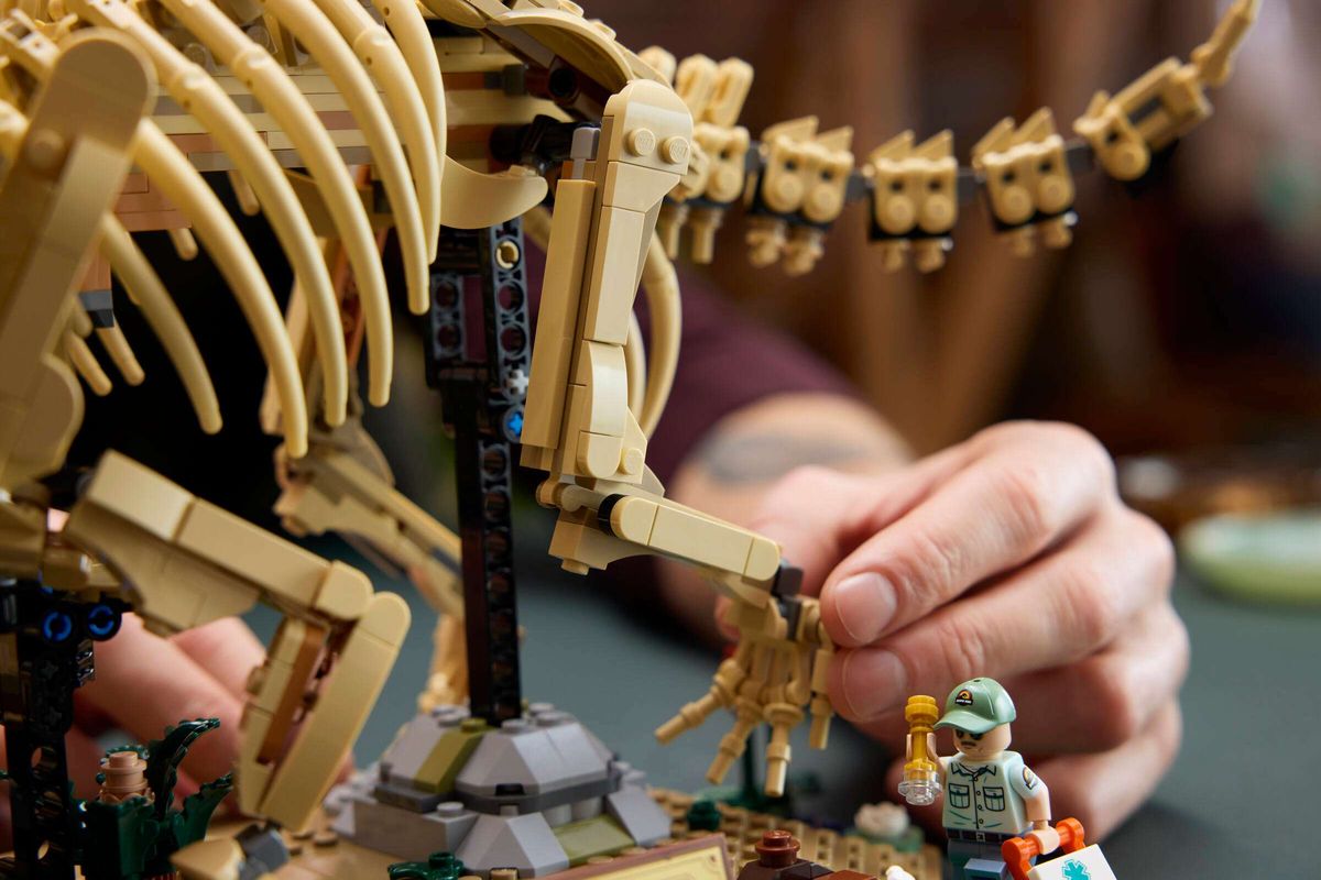 LEGO 77985 - Jurassic World™, Dinosaurfossiler: Triceratops
